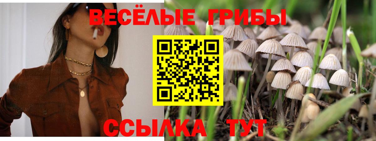 Баксан  Галлюциногенные грибы MAGIC MUSHROOMS  Вход с VPN 